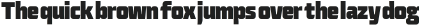 Plasma Black condensed otf (900)