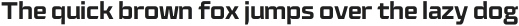 Plasma Bold Extended otf (700)