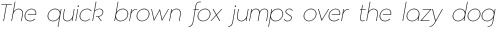 HV Frankfurt Light Italic otf (300)