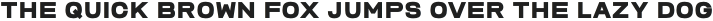 Erinko Black otf (900)