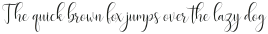 Delany Script Regular otf (400)