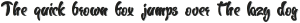 CHEEZE-Display otf (400)