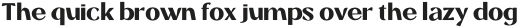 Rustea-Bold otf (700)
