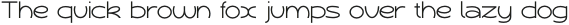 Dampfnudel Thin otf (100)