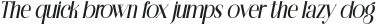 ReasonItalic otf (400)