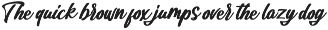 Rauzatul Script | Modern Stylish preview