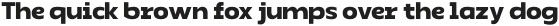 PrapenNeu-Bold otf (700)