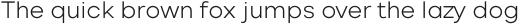 Vilonti Light otf (300)