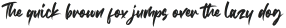 Rustcyber otf (400)