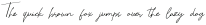 WinonaSignature Script otf (400)