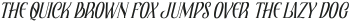ELAPHORAS Italic otf (400)