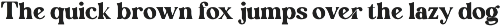 English Island Ligature Serif Font preview