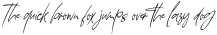 Wistonia Signature Regular otf (400)