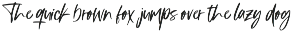 Barinde - Brush Logotype preview