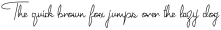Joyeux Script Regular otf (400)