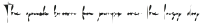 Flighty Single Line 2 otf (300)