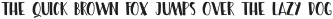 Dragonflight Pro Sans otf (300)