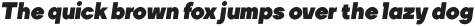 TT Firs Black Italic otf (900)