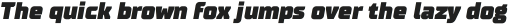 TT Supermolot Black Italic otf (900)