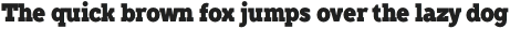 TT Slabs Condensed Thin otf (100)