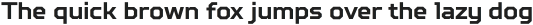 TT Squares Light Italic otf (300)