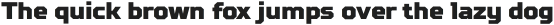 TT Squares Thin Italic otf (100)