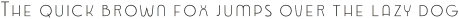 Emblema Fill 1 Deco otf (400)