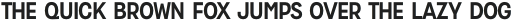 Zippy Gothic Bold otf (700)
