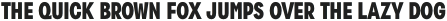 Zippy Gothic Black Condensed otf (900)