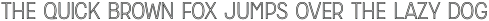 Zippy Gothic Light Outline otf (300)