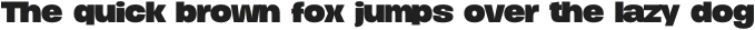 Duera Expanded otf (700)