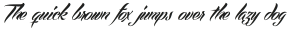 Echinos Park Script  otf 