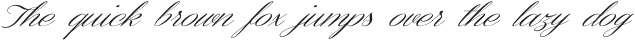 Coneria Script Slanted Light ttf (300)