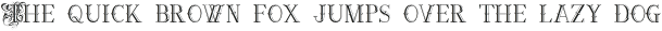 Ornamental Versals otf (400)