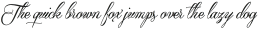 Qaskin Black otf (900)