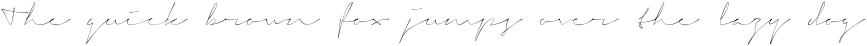 Signerica Thin ttf (100)