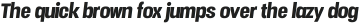 Vacer Sans ttf (900)