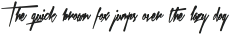 Xtreem Fat otf (800)