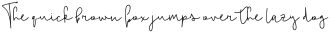 Hello_Neighbor_Uptade otf (400)