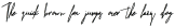 Ambassador_Update otf (400)