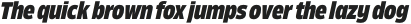 Ansage XBold CD Italic otf (700)