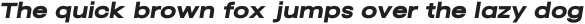Revoir Nuvo Bold Italic otf (700)