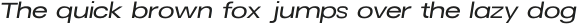 Revoir Nuvo Light Italic otf (300)