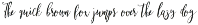 Henrylistica Script preview