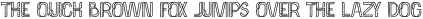 Palma Medium Grunge otf (500)