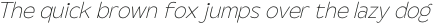Steg Pro Hairline Italic otf (100)