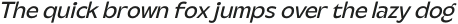 Steg Pro Italic otf (400)