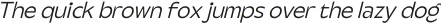 Steg Pro Light Italic otf (300)