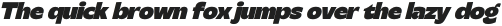 Steg Pro Black Italic otf (900)