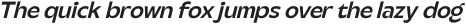 Steg Pro Medium Italic otf (500)